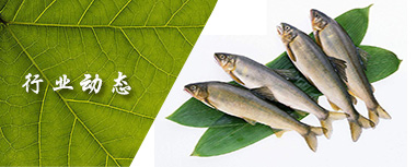 �ИI(y��)��(d��ng)�B(t��i)